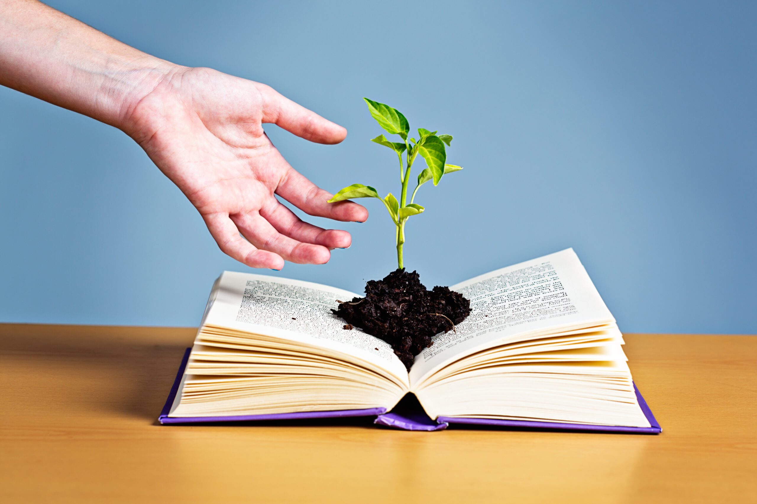 Feng shui boost personal growth