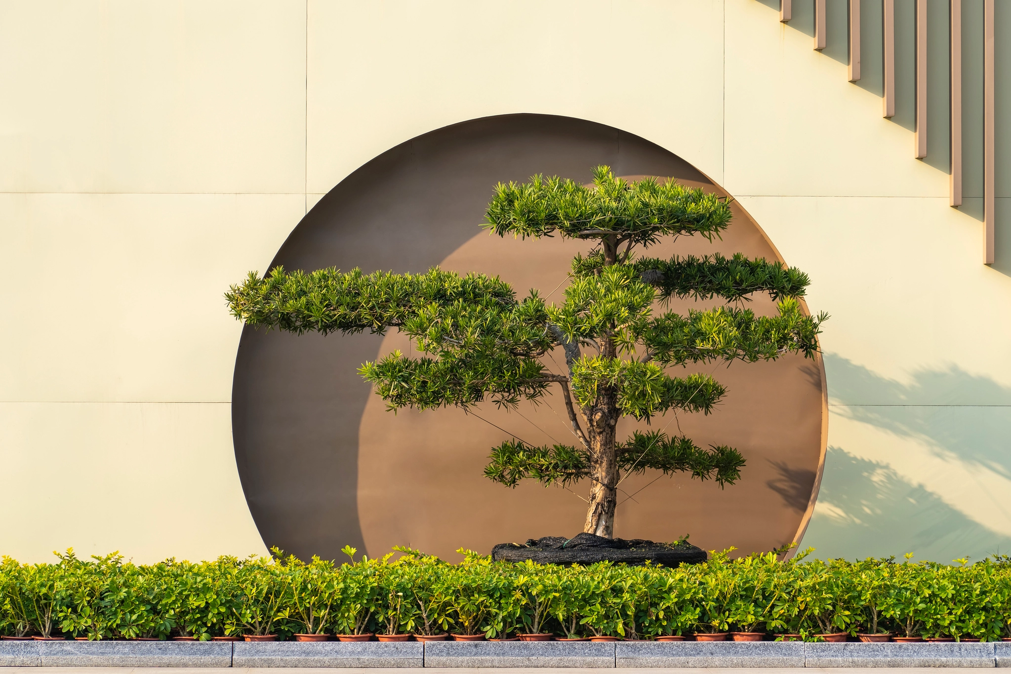 Feng Shui improves mental health